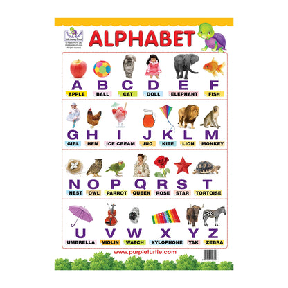 Alphabet and Hindi Educational Wall Charts for Kids | Age : 1 to 5 Yrs by Purple Turtle