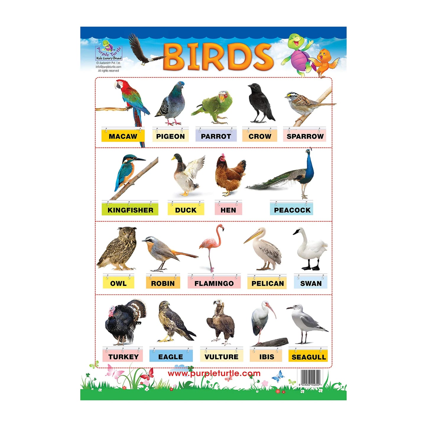 Animals and Birds Educational Wall Charts for Kids | Age : 3 to 9 Yrs by Purple Turtle