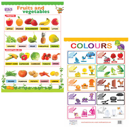13 Educational Wallcharts for kids | Age : 2 Years+ by Purple Turtle