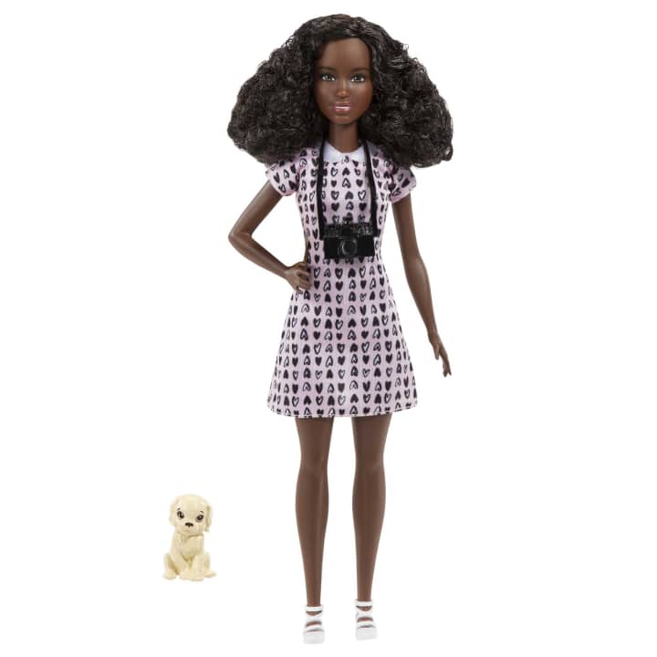 Barbie® Pet Photographer Doll | Age :  3 Years + by Mattel